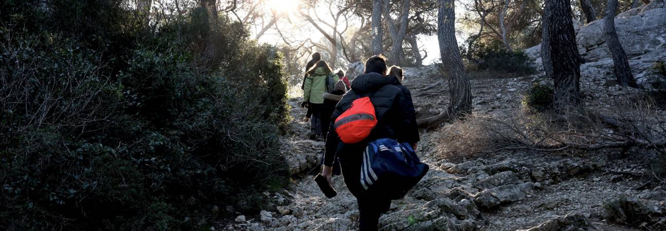 job protection nature