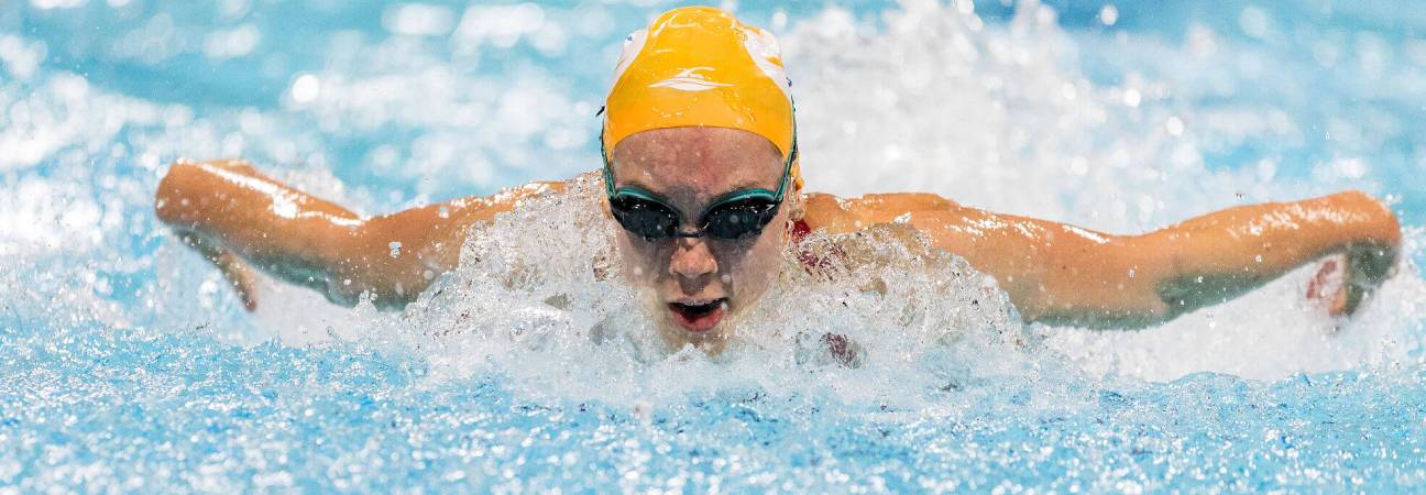 leon marchand universite