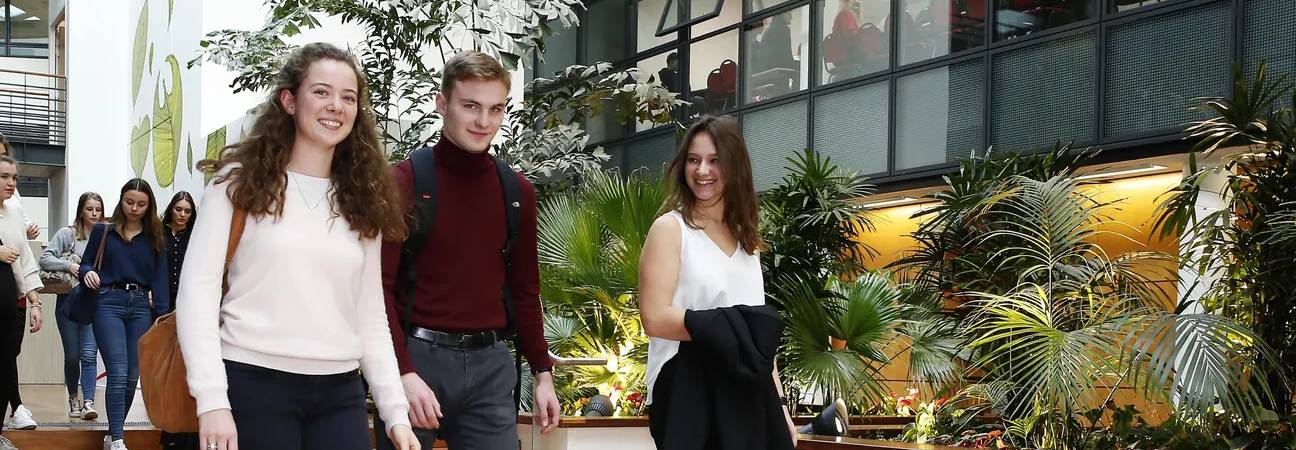 après bachelor commerce