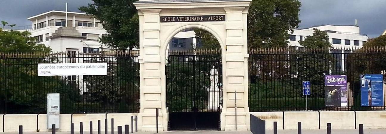 ecole veterinaire alfort