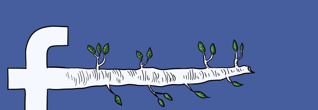 fact checkin facebook