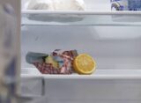 Frigo vide étudiant