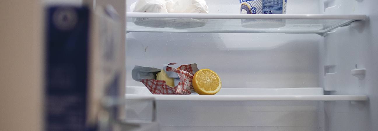 Frigo vide étudiant