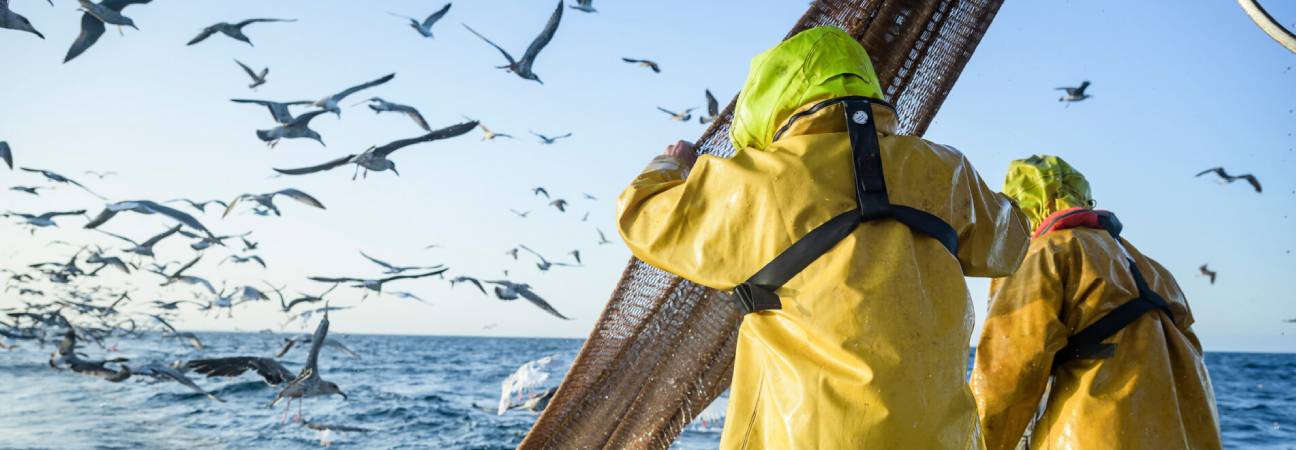 marin pecheur metier dangereux