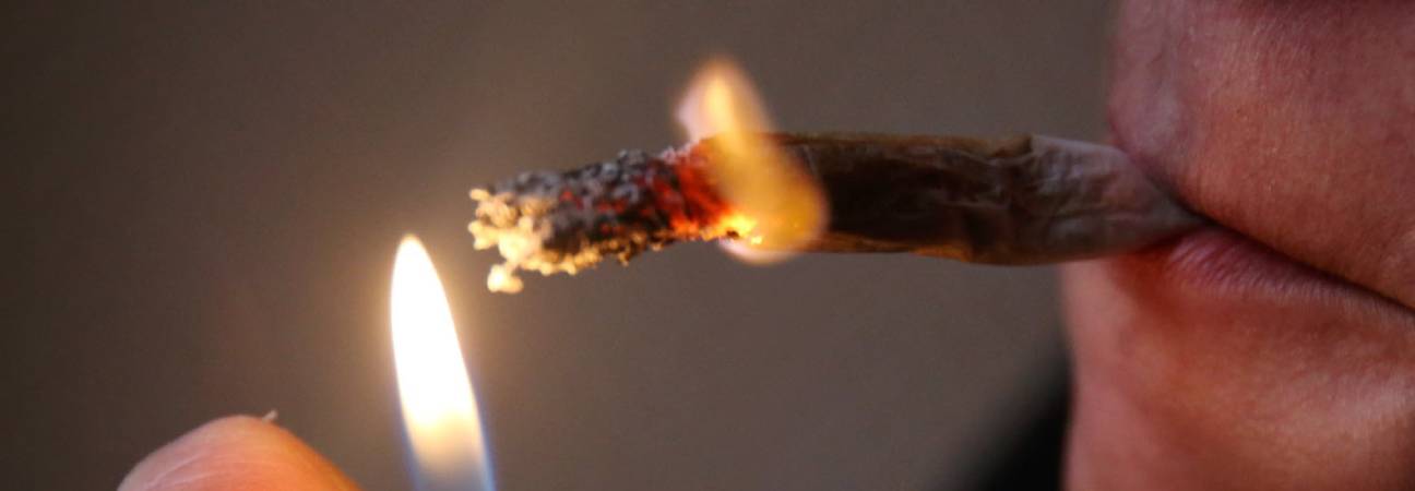 cannabis etude cerveau