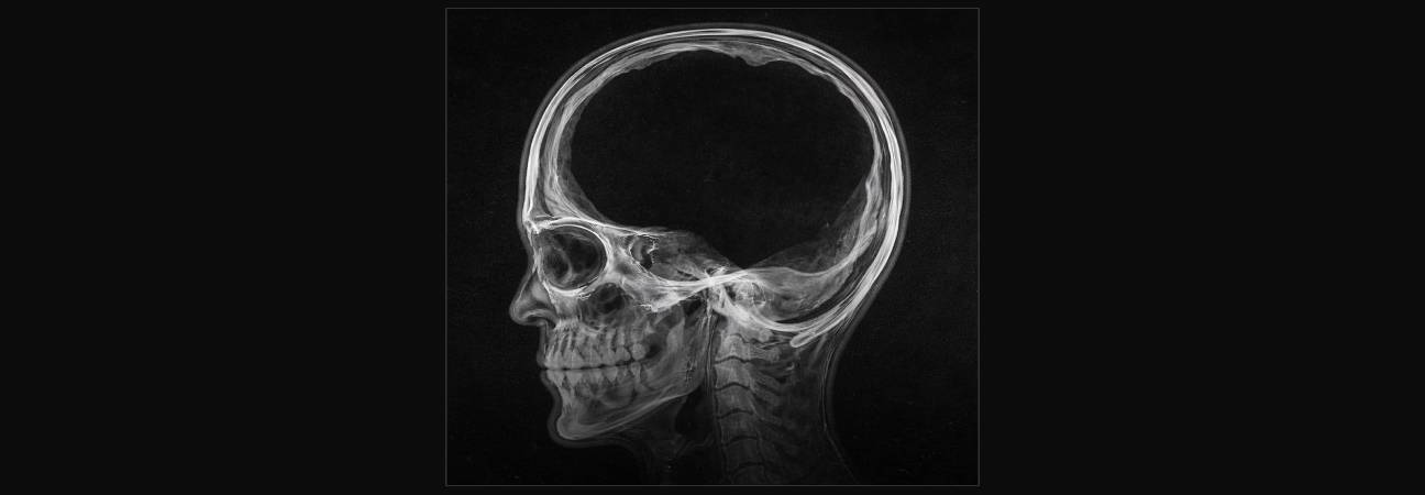 francais 90% cerveau