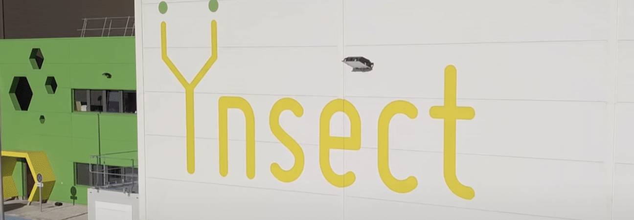 ynsect