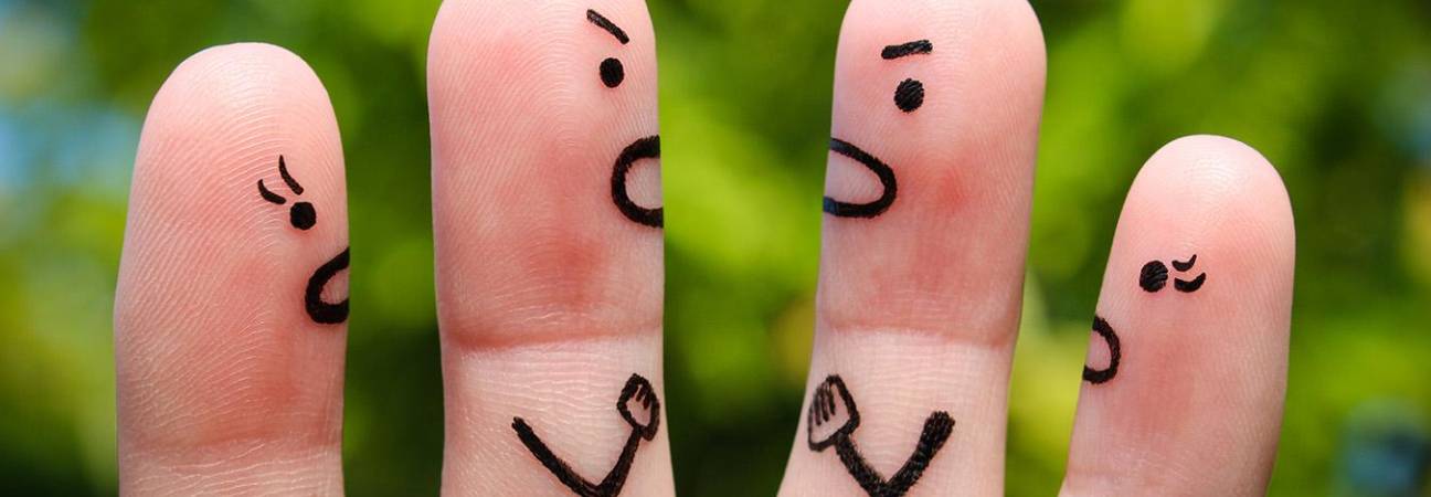 alternance bilan 2426