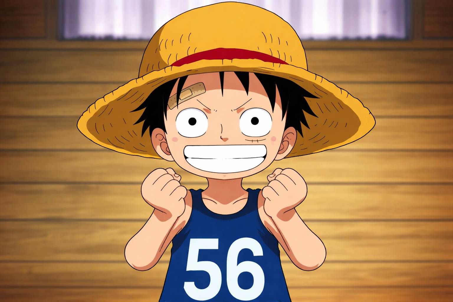 luffy jeune