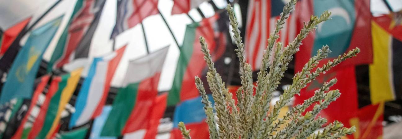 avantages comparatifs ses