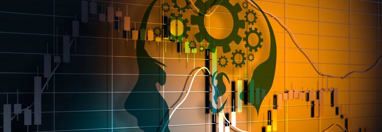 economie comportementale ses