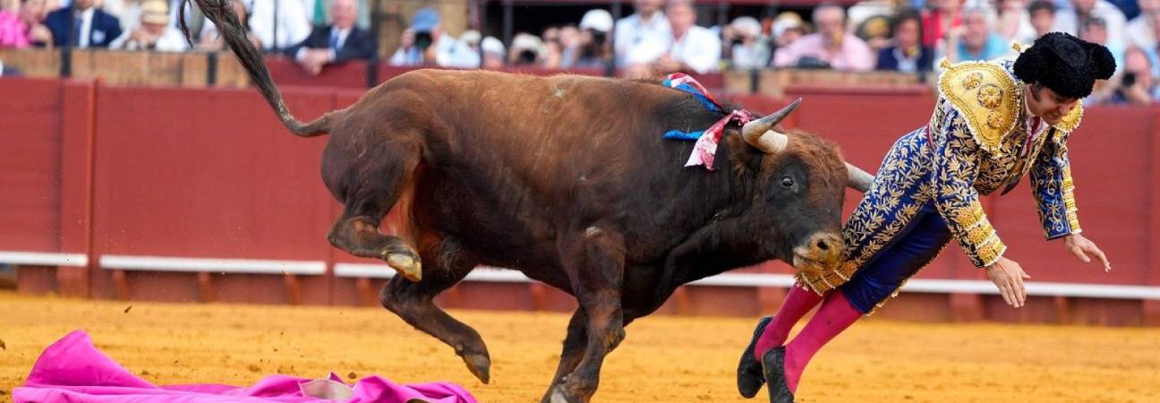 torero morante