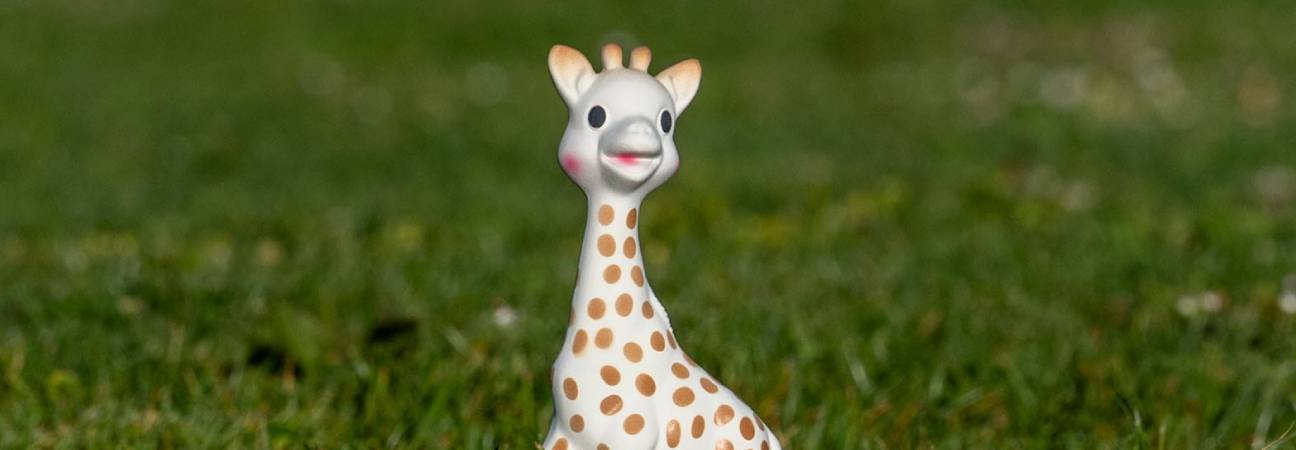 sophiegirafe chine