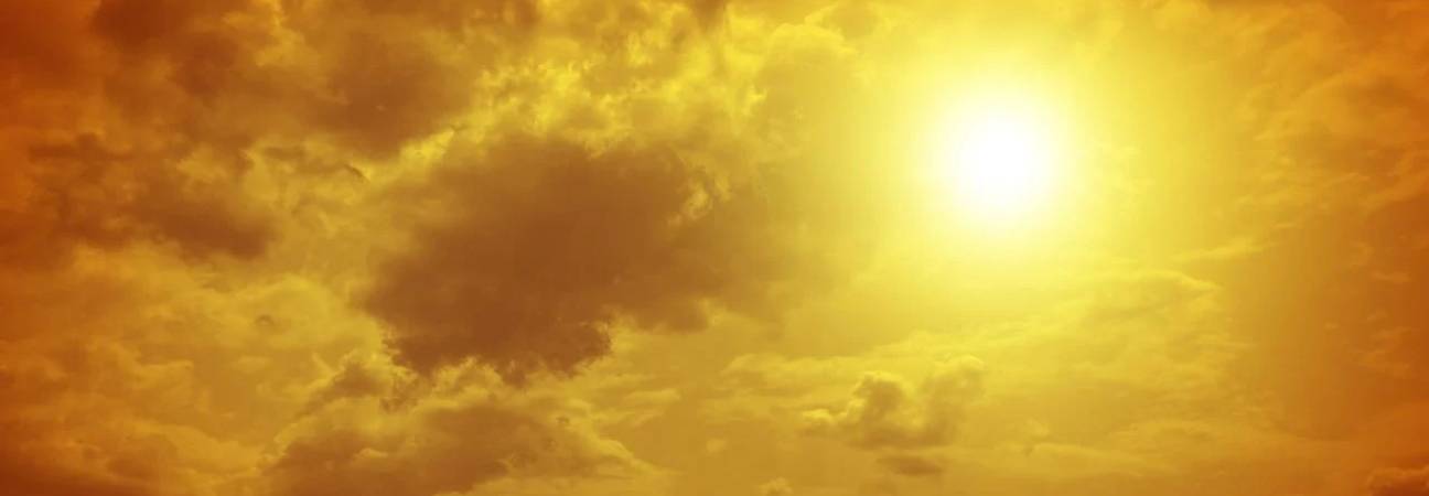 canicule morte 12 ans