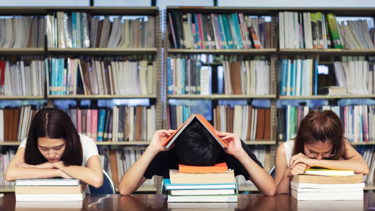 coût étudiant famille