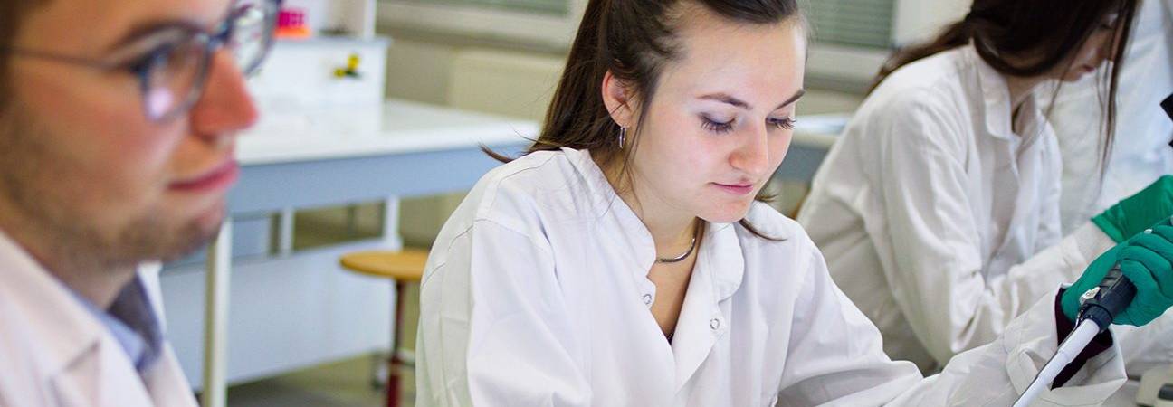 doctorat