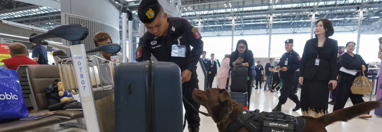 francais drogue aeroport 11