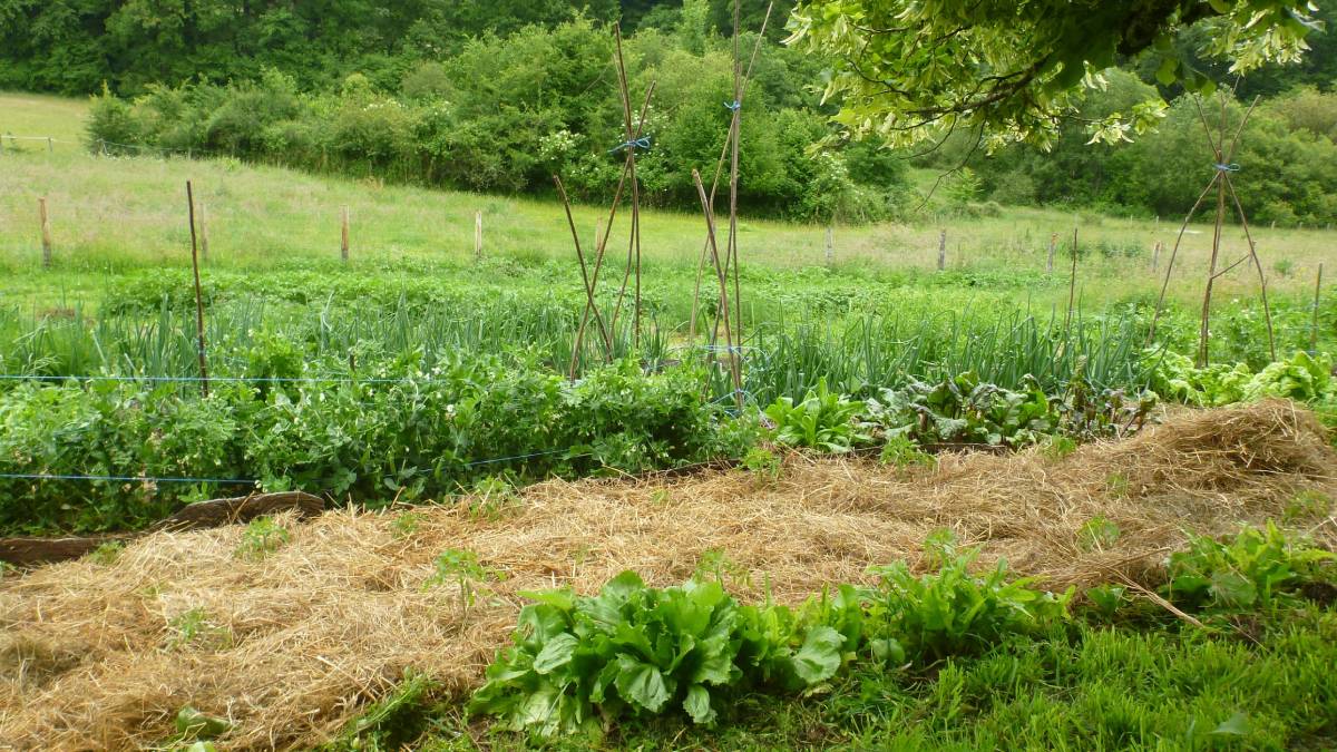 agroecologie limoges