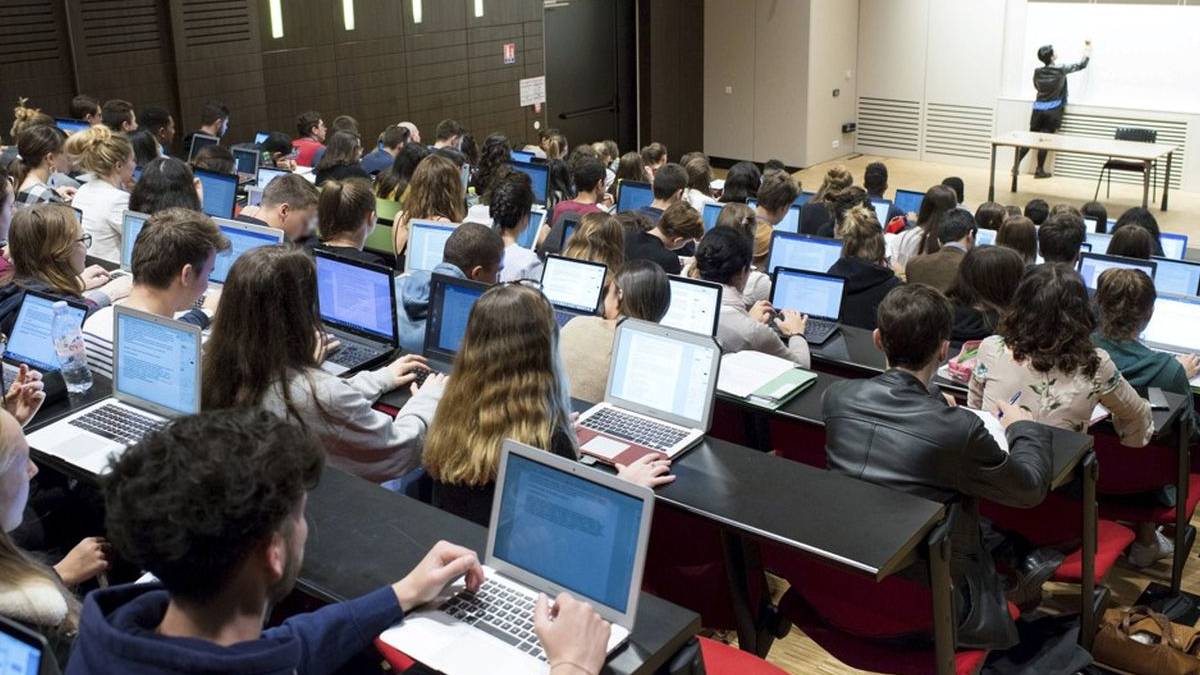 diplome universitaire