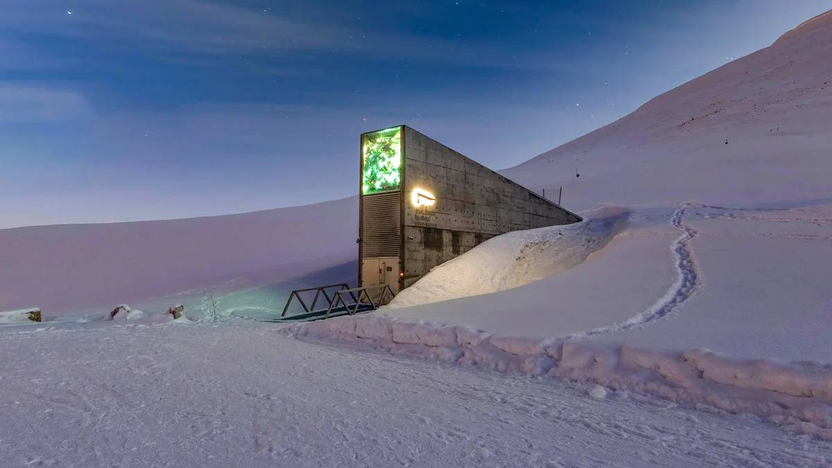 svalbard global seed